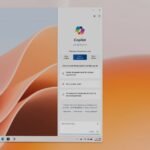 Windows 11 24H2